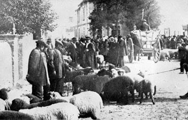 Iconographie - Marché aux bestiaux devant la mairie